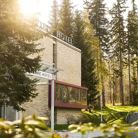 Hotel Mercure Skalny 3*