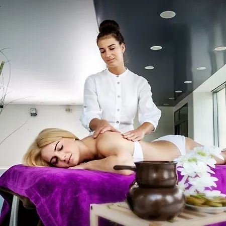 Mercure Skalny מלון 3*